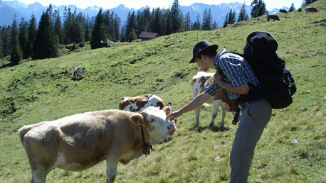 Auf der Alm